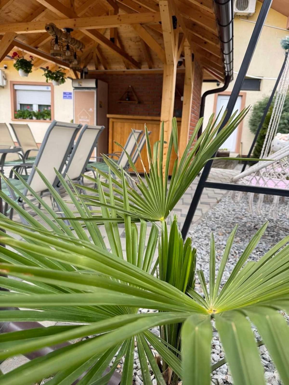 Villa Ristovski Ohrid Exteriör bild